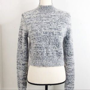 Express Long Sleeve Shaggy Cropped Sweater Top